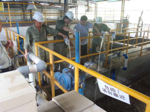 湘潭新手考證指南 固體廢物處理工證考試流程、體檢要求及污染治理工作解讀