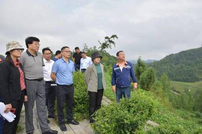 楊永英率隊(duì)赴黔西南州開展《固體廢物污染環(huán)境防治法》執(zhí)法檢查并召開座談會(huì)